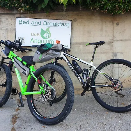 Angulum Bed & Breakfast