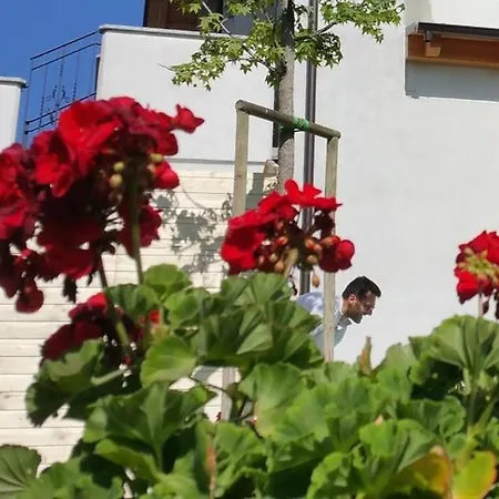 Angulum Bed & Breakfast 3*