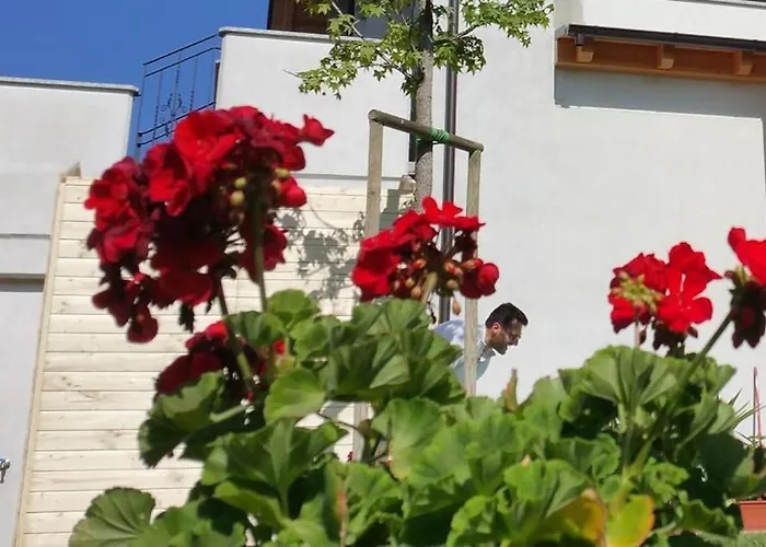 Angulum Bed and Breakfast 3*